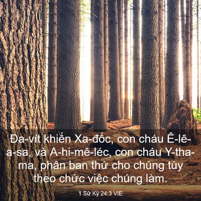 Picture 03 - 1 Sử Ký 24:3 VIE - Đa-vít khiến Xa-đốc, con cháu - Bible Verse Picture