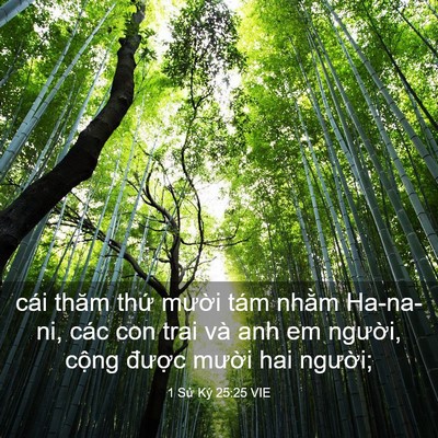 Picture 03 - 1 Sử Ký 25:25 VIE - cái thăm thứ mười tám nhằm Ha-na-ni, - Bible Verse Picture