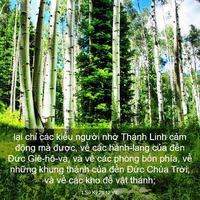 Picture 03 - 1 Sử Ký 28:12 VIE - lại chỉ các kiểu người nhờ Thánh - Bible Verse Picture