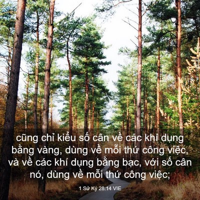 Picture 03 - 1 Sử Ký 28:14 VIE - cũng chỉ kiểu số cân về các khí - Bible Verse Picture