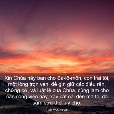 Picture 03 - 1 Sử Ký 29:19 VIE - Xin Chúa hãy ban cho Sa-lô-môn, con trai - Bible Verse Picture