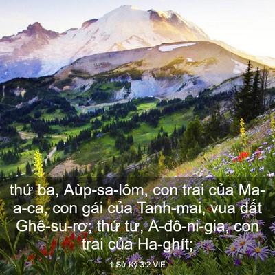 Picture 03 - 1 Sử Ký 3:2 VIE - thứ ba, Aùp-sa-lôm, con trai của Ma-a-ca, - Bible Verse Picture