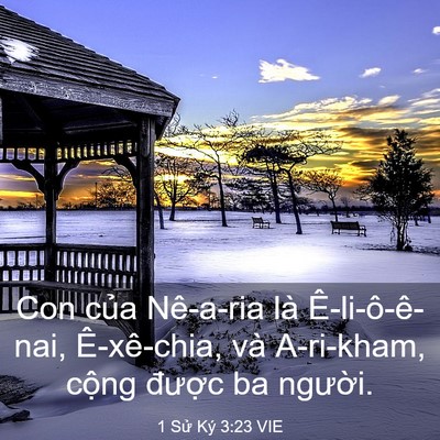 Picture 03 - 1 Sử Ký 3:23 VIE - Con của Nê-a-ria là Ê-li-ô-ê-nai, - Bible Verse Picture