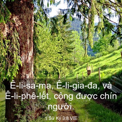 Picture 03 - 1 Sử Ký 3:8 VIE - Ê-li-sa-ma, Ê-li-gia-đa, và Ê-li-phê-lết, - Bible Verse Picture