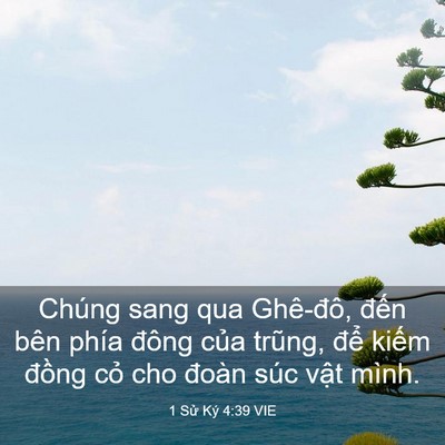 Picture 03 - 1 Sử Ký 4:39 VIE - Chúng sang qua Ghê-đô, đến bên phía - Bible Verse Picture
