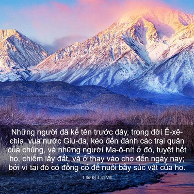 Picture 03 - 1 Sử Ký 4:41 VIE - Những người đã kể tên trước đây, - Bible Verse Picture