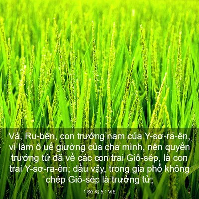 Picture 03 - 1 Sử Ký 5:1 VIE - Vả, Ru-bên, con trưởng nam của - Bible Verse Picture