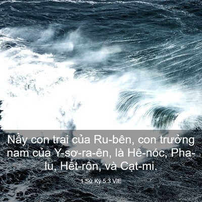 Picture 03 - 1 Sử Ký 5:3 VIE - Nầy con trai của Ru-bên, con trưởng nam - Bible Verse Picture