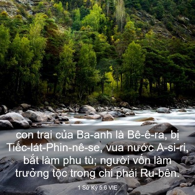 Picture 03 - 1 Sử Ký 5:6 VIE - con trai của Ba-anh là Bê-ê-ra, bị - Bible Verse Picture