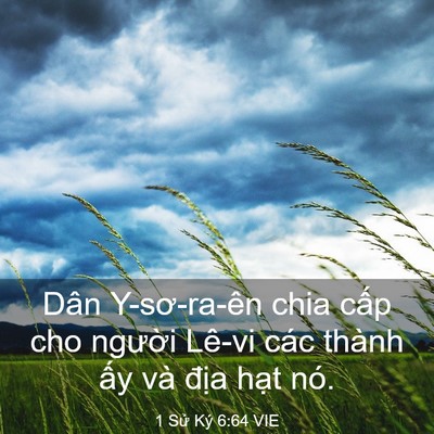 Picture 03 - 1 Sử Ký 6:64 VIE - Dân Y-sơ-ra-ên chia cấp cho người Lê-vi - Bible Verse Picture