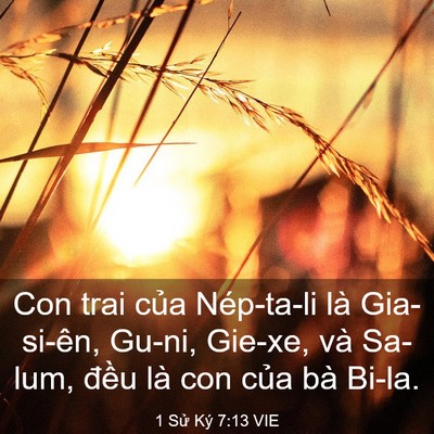 Picture 03 - 1 Sử Ký 7:13 VIE - Con trai của Nép-ta-li là Gia-si-ên, Gu-ni, - Bible Verse Picture