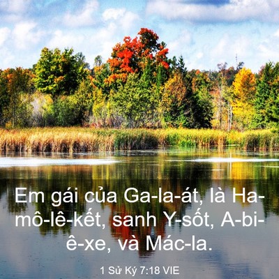 Picture 03 - 1 Sử Ký 7:18 VIE - Em gái của Ga-la-át, là Ha-mô-lê-kết, - Bible Verse Picture