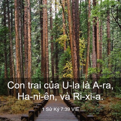 Picture 03 - 1 Sử Ký 7:39 VIE - Con trai của U-la là A-ra, Ha-ni-ên, và - Bible Verse Picture