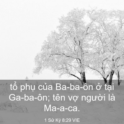 Picture 03 - 1 Sử Ký 8:29 VIE - tổ phụ của Ba-ba-ôn ở tại Ga-ba-ôn; - Bible Verse Picture