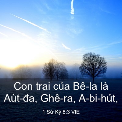 Picture 03 - 1 Sử Ký 8:3 VIE - Con trai của Bê-la là Aùt-đa, Ghê-ra, - Bible Verse Picture