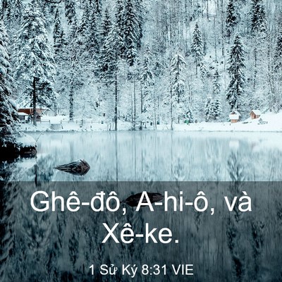 Picture 03 - 1 Sử Ký 8:31 VIE - Ghê-đô, A-hi-ô, và - Bible Verse Picture