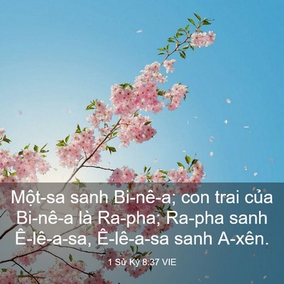 Picture 03 - 1 Sử Ký 8:37 VIE - Một-sa sanh Bi-nê-a; con trai của Bi-nê-a - Bible Verse Picture