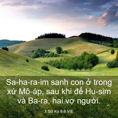 Picture 03 - 1 Sử Ký 8:8 VIE - Sa-ha-ra-im sanh con ở trong xứ Mô-áp, sau - Bible Verse Picture