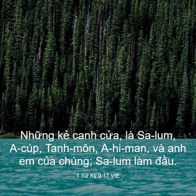 Picture 03 - 1 Sử Ký 9:17 VIE - Những kẻ canh cửa, là Sa-lum, A-cúp, - Bible Verse Picture
