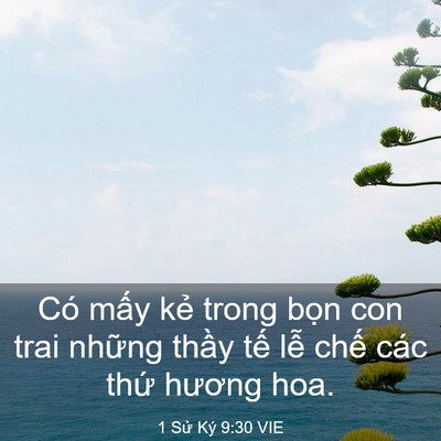 Picture 03 - 1 Sử Ký 9:30 VIE - Có mấy kẻ trong bọn con trai những - Bible Verse Picture