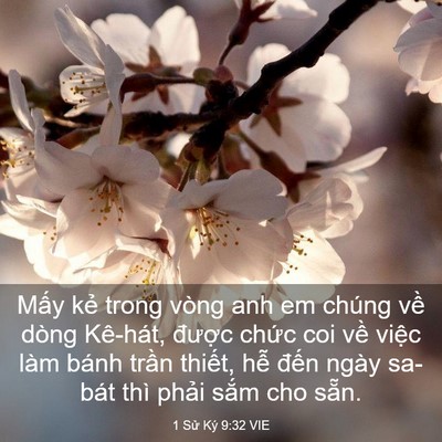 Picture 03 - 1 Sử Ký 9:32 VIE - Mấy kẻ trong vòng anh em chúng về dòng - Bible Verse Picture