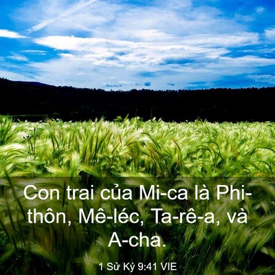 Picture 03 - 1 Sử Ký 9:41 VIE - Con trai của Mi-ca là Phi-thôn, Mê-léc, - Bible Verse Picture