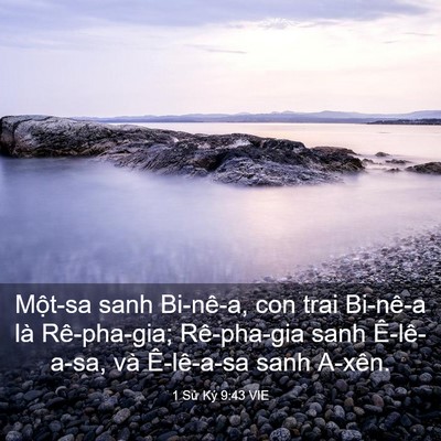 Picture 03 - 1 Sử Ký 9:43 VIE - Một-sa sanh Bi-nê-a, con trai Bi-nê-a là - Bible Verse Picture