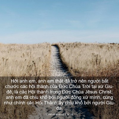 Picture 03 - 1 Thê-sa-lô-ni-ca 2:14 VIE - Hỡi anh em, anh em thật đã trở nên - Bible Verse Picture