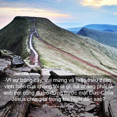 Picture 03 - 1 Thê-sa-lô-ni-ca 2:19 VIE - Vì sự trông cậy, vui mừng và mão - Bible Verse Picture