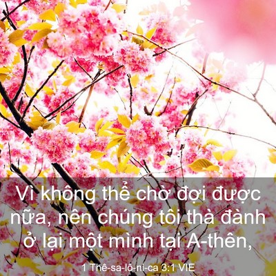 Picture 03 - 1 Thê-sa-lô-ni-ca 3:1 VIE - Vì không thể chờ đợi được nữa, - Bible Verse Picture