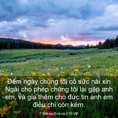 Picture 03 - 1 Thê-sa-lô-ni-ca 3:10 VIE - Đêm ngày chúng tôi cố sức nài xin Ngài - Bible Verse Picture
