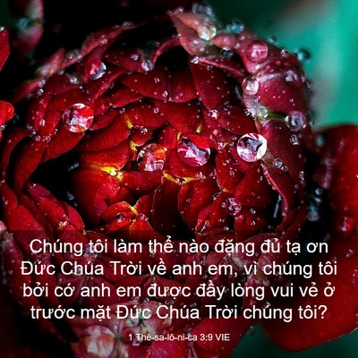 Picture 03 - 1 Thê-sa-lô-ni-ca 3:9 VIE - Chúng tôi làm thể nào đặng đủ tạ - Bible Verse Picture