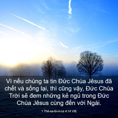 Picture 03 - 1 Thê-sa-lô-ni-ca 4:14 VIE - Vì nếu chúng ta tin Đức Chúa Jêsus đã - Bible Verse Picture