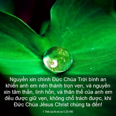 Picture 03 - 1 Thê-sa-lô-ni-ca 5:23 VIE - Nguyền xin chính Đức Chúa Trời bình an - Bible Verse Picture