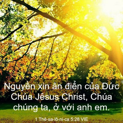 Picture 03 - 1 Thê-sa-lô-ni-ca 5:28 VIE - Nguyền xin ân điển của Đức Chúa - Bible Verse Picture