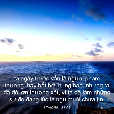 Picture 03 - 1 Ti-mô-thê 1:13 VIE - ta ngày trước vốn là người phạm - Bible Verse Picture