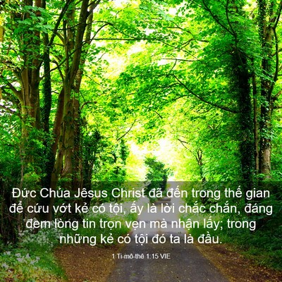Picture 03 - 1 Ti-mô-thê 1:15 VIE - Đức Chúa Jêsus Christ đã đến trong - Bible Verse Picture