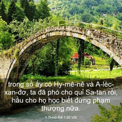 Picture 03 - 1 Ti-mô-thê 1:20 VIE - trong số ấy có Hy-mê-nê và - Bible Verse Picture