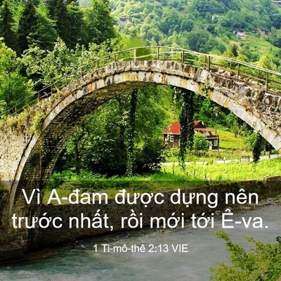 Picture 03 - 1 Ti-mô-thê 2:13 VIE - Vì A-đam được dựng nên trước nhất, - Bible Verse Picture