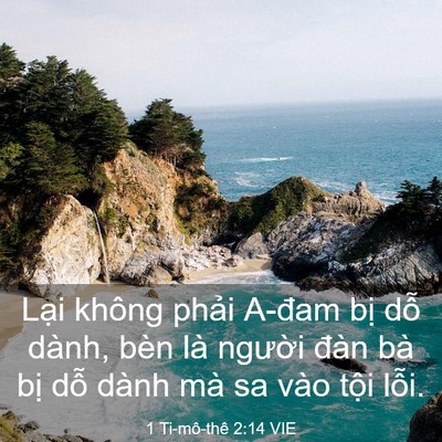 Picture 03 - 1 Ti-mô-thê 2:14 VIE - Lại không phải A-đam bị dỗ dành, bèn - Bible Verse Picture