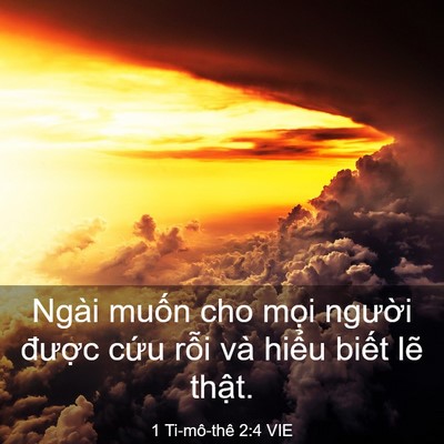 Picture 03 - 1 Ti-mô-thê 2:4 VIE - Ngài muốn cho mọi người được cứu - Bible Verse Picture