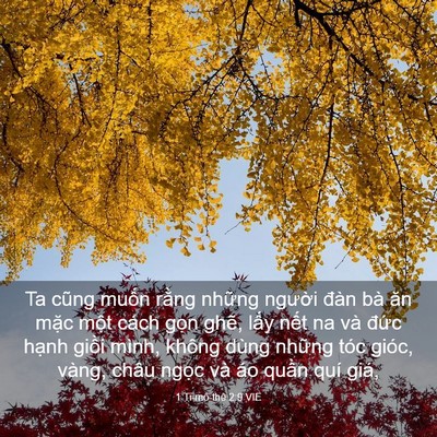 Picture 03 - 1 Ti-mô-thê 2:9 VIE - Ta cũng muốn rằng những người đàn bà - Bible Verse Picture