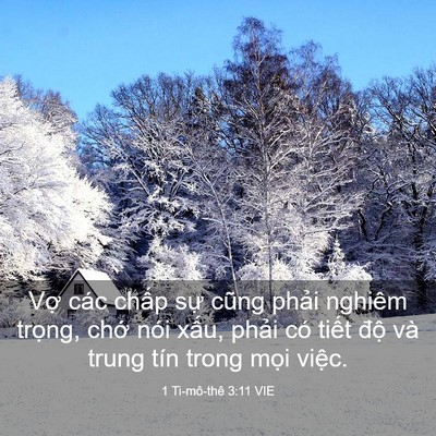 Picture 03 - 1 Ti-mô-thê 3:11 VIE - Vợ các chấp sự cũng phải nghiêm - Bible Verse Picture