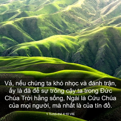 Picture 03 - 1 Ti-mô-thê 4:10 VIE - Vả, nếu chúng ta khó nhọc và đánh - Bible Verse Picture