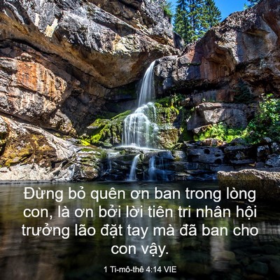 Picture 03 - 1 Ti-mô-thê 4:14 VIE - Đừng bỏ quên ơn ban trong lòng con, là - Bible Verse Picture