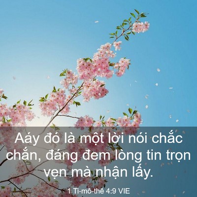 Picture 03 - 1 Ti-mô-thê 4:9 VIE - Aáy đó là một lời nói chắc chắn, - Bible Verse Picture