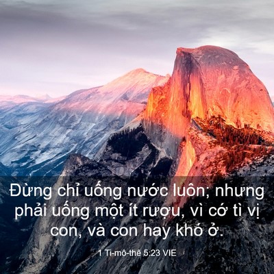 Picture 03 - 1 Ti-mô-thê 5:23 VIE - Đừng chỉ uống nước luôn; nhưng phải - Bible Verse Picture