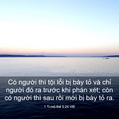 Picture 03 - 1 Ti-mô-thê 5:24 VIE - Có người thì tội lỗi bị bày tỏ và - Bible Verse Picture