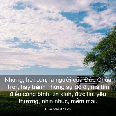 Picture 03 - 1 Ti-mô-thê 6:11 VIE - Nhưng, hỡi con, là người của Đức - Bible Verse Picture