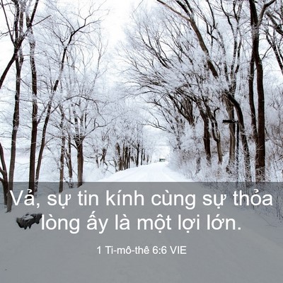 Picture 03 - 1 Ti-mô-thê 6:6 VIE - Vả, sự tin kính cùng sự thỏa lòng ấy - Bible Verse Picture